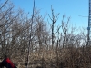 Slivnica S5/RG-009 Antena