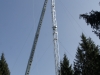 ANT3