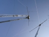 ANT4