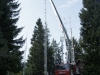 ANT6