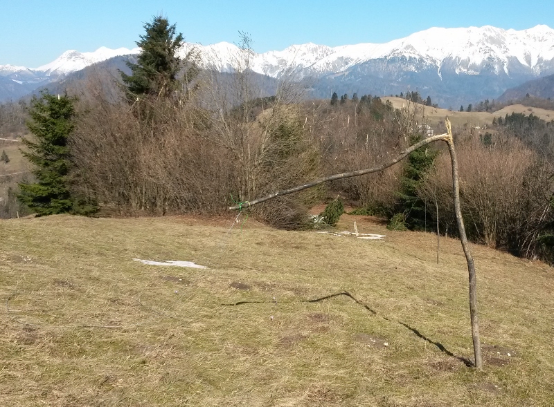 gorski_vrh_zled_feb_2014_broken_beverage_support