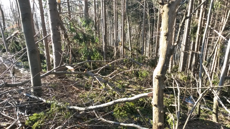 Gorski_vrh_zled_feb-2014_finding_beverage_wire_is_a_big_challenge