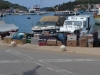 IOTA 2021 VELA PALAGRUŽA EU-090