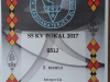 Janez Majdič, S51J KV POKAL 2017 3. mesto kategorija A - CW